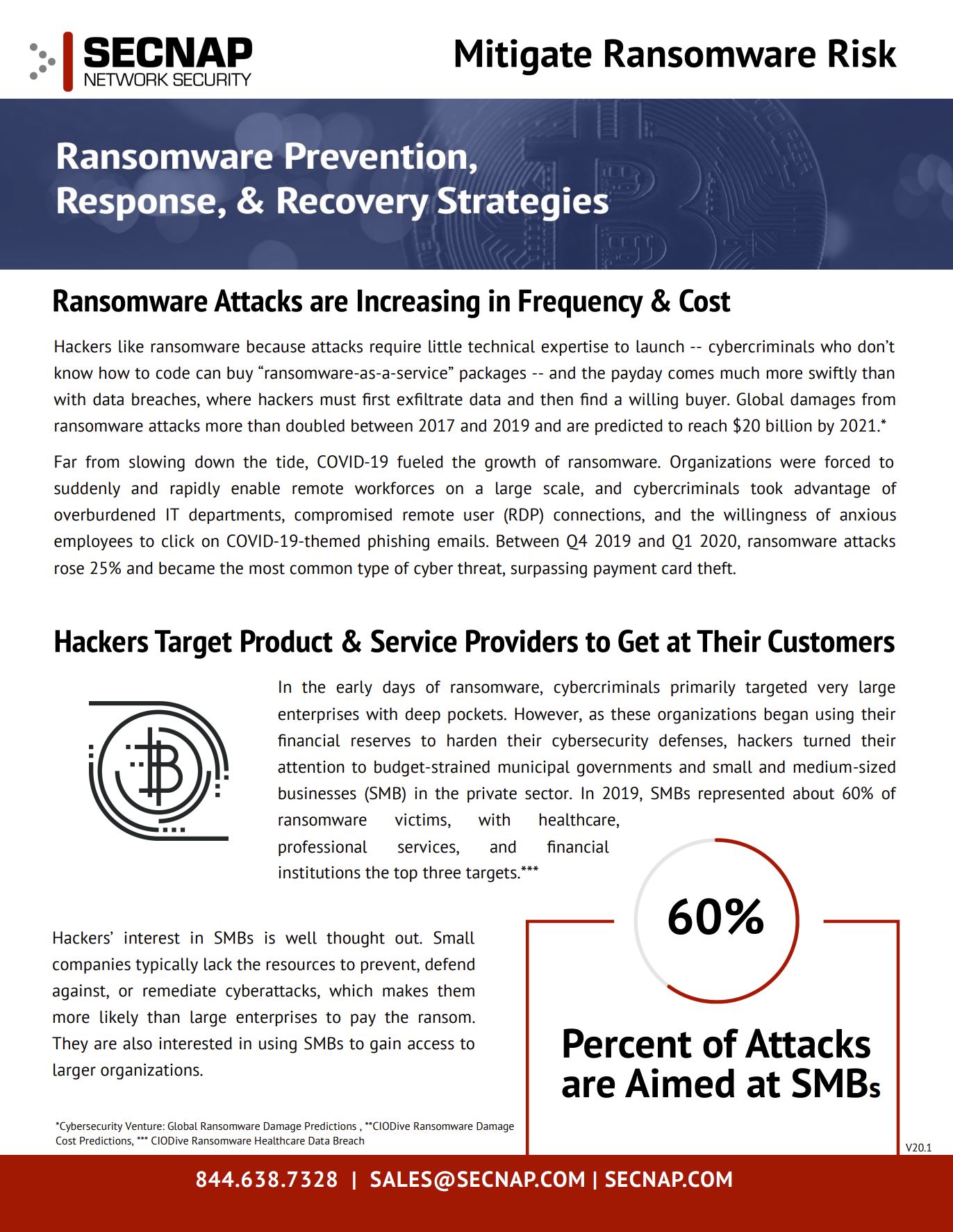 SECNAP Mitigating Ransomware Risk